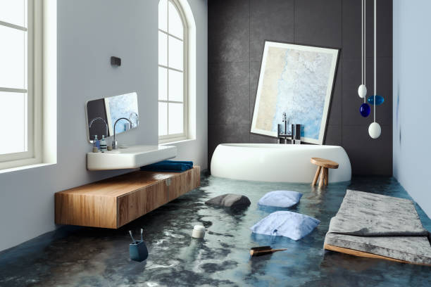 Best Professional water damage repair  in Mantua, VA