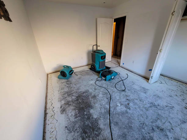 Best Commercial water damage restoration  in Mantua, VA