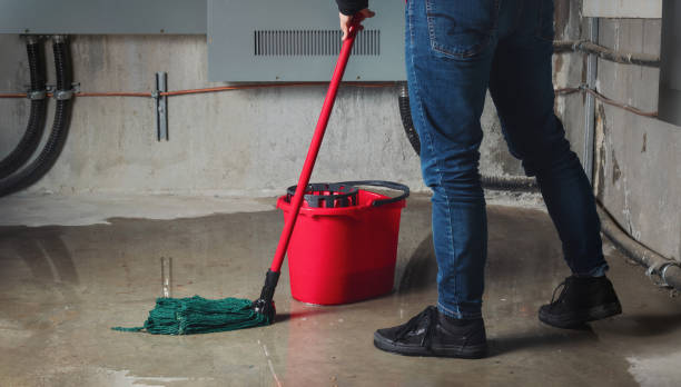 Best Residential water damage restoration  in Mantua, VA