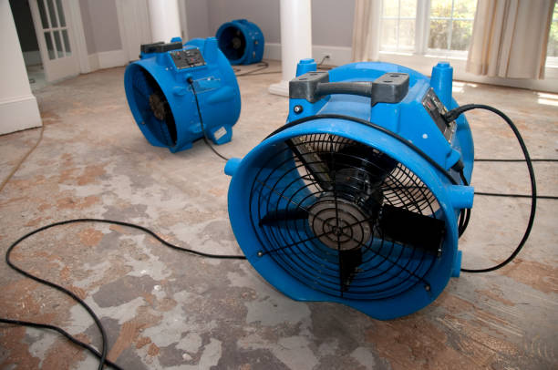 Best Basement water damage restoration  in Mantua, VA