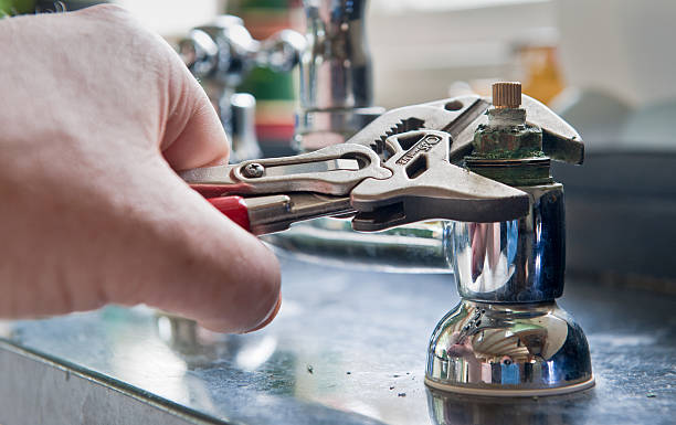 Best Flood damage cleanup  in Mantua, VA