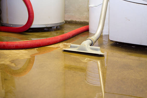 Best Flood damage cleanup  in Mantua, VA