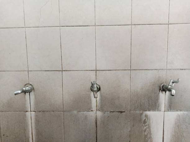  Mantua, VA Water damage restoration Pros