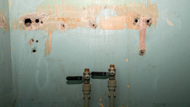 Best Ceiling water damage repair  in Mantua, VA