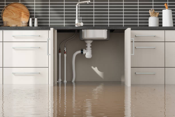 Best Local water damage restoration  in Mantua, VA