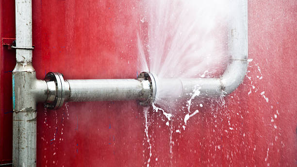Best Ceiling water damage repair  in Mantua, VA